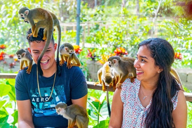 Tour de medio día en Puerto Plata & Monkeyland